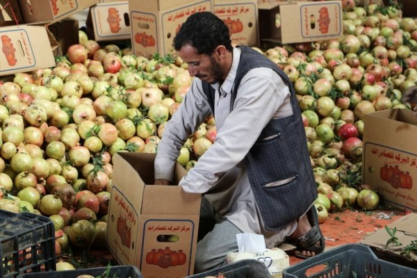 10 فوائد صحية مذهلة لفاكهة تشتهر بها اليمن