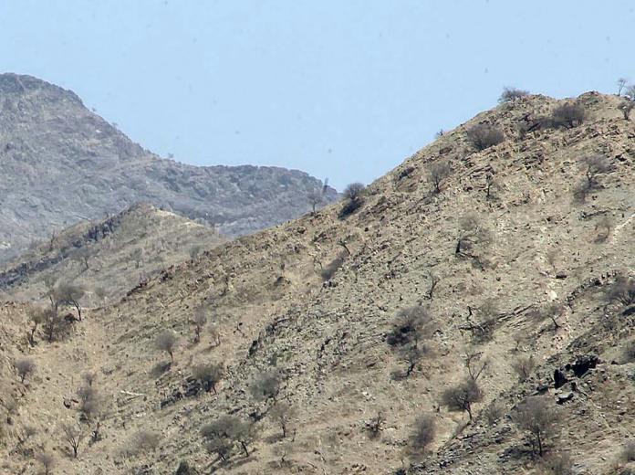 «جبل الدود» يحصد مجدداً أرواح العشرات من مليشيات الحوثي وصالح (تفاصيل)