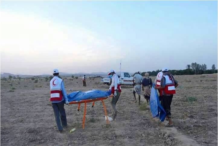 الهلال الأحمر ينتشل عشرات الجثث لقتلى حوثيين بالجوف بعد مناشدات أطلقها السكان